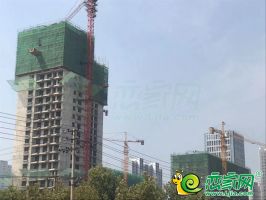 東信·鑫茂府進(jìn)度播報(bào) | 不負(fù)期待，即將封頂