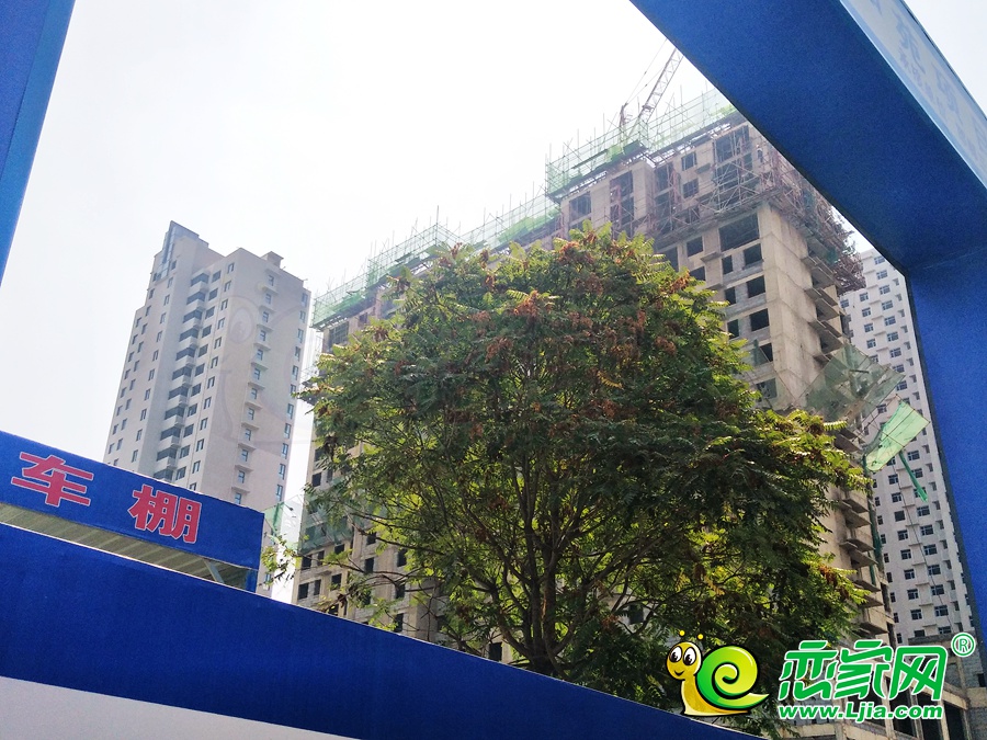 金色漫城實(shí)景圖
