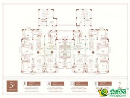 5#樓標準層戶型圖
