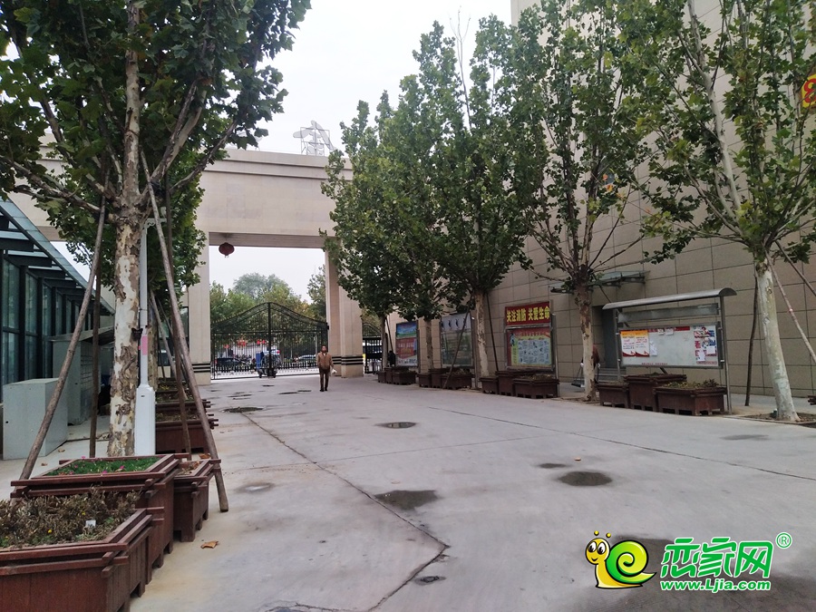 實(shí)景圖