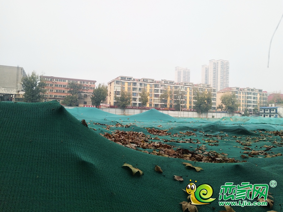 實(shí)景圖