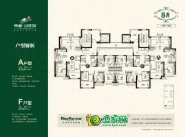 公園印象8#平面圖
