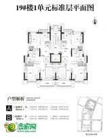 19號(hào)樓平面圖