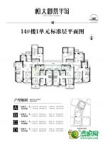 14#號(hào)樓平面圖