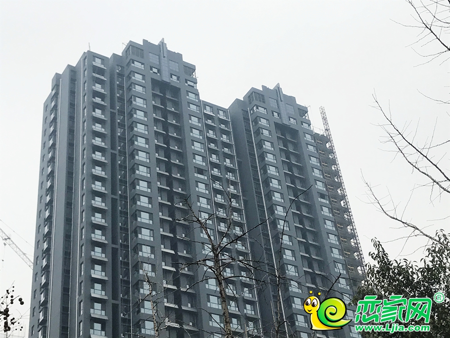 金色漫城實景圖