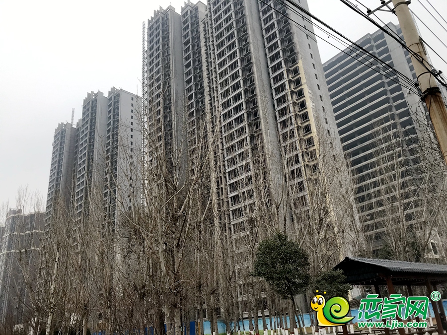 卓冠美景城