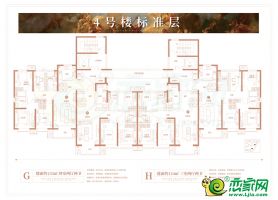 4#/8#樓戶型