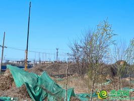 華潤(rùn)·南區(qū)項(xiàng)目實(shí)景放送 與華潤(rùn)一起想象