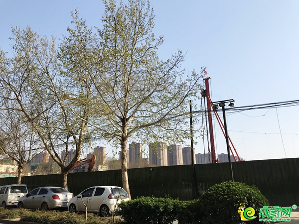 澤信·云樾天著實(shí)景圖