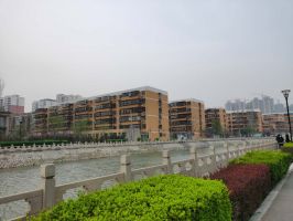 交通便利 陽面 通風(fēng)好 農(nóng)林路小學(xué)片區(qū)內(nèi)
