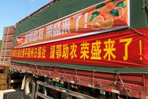 “吃”援湖北 | 榮盛聯(lián)合邯鄲日報社帶貨荊楚好味道，2斤秭歸倫晚臍橙一元購啦！