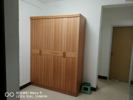 公園醫(yī)院附近拎包入住房