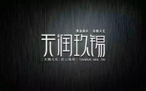 新南天潤玖錫 首付3成 92到130平不等 抓住機會