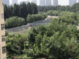 天鴻廣場(chǎng)對(duì)面，亞太清水苑