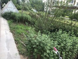 連城別苑翠園 四室 精裝 帶花園 老證可貸款 鄰亞太安居?xùn)|城