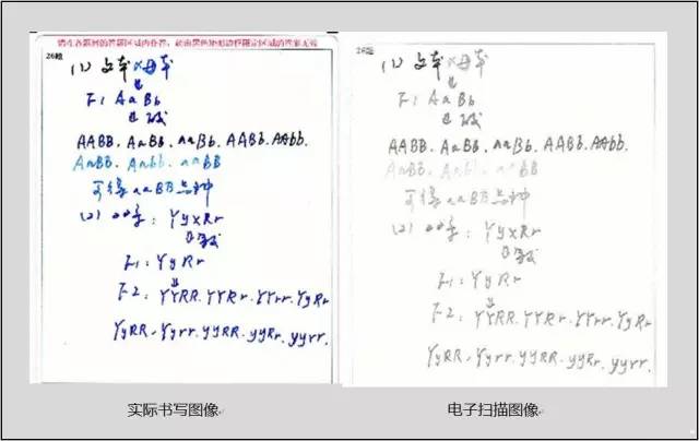 2,蓝色钢笔书写后,扫描字迹较浅,若无法辨认,容易误判或不给分.