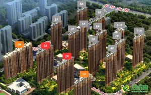 碧桂園·天匯灣 | 北湖新區(qū) 美好生活匯一灣