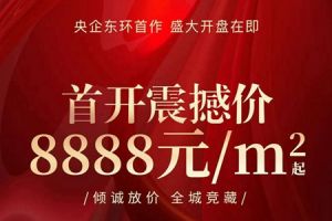 華潤置地·凱旋門 | 火爆認(rèn)籌最后一天，央企東環(huán)精裝8888元/㎡起