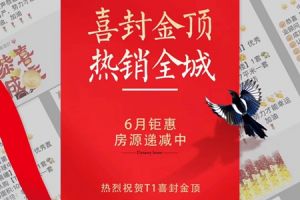封頂大吉 | 環(huán)球中心不負匠心T1載譽封頂