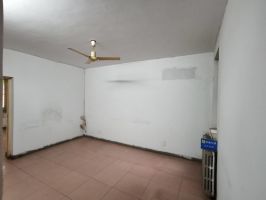 鐵路大院 1樓 南北通透 老證唯一