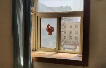 室內圖