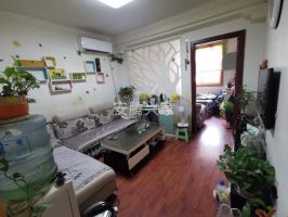 農(nóng)林路 陵西南77號院 非頂層 精裝房