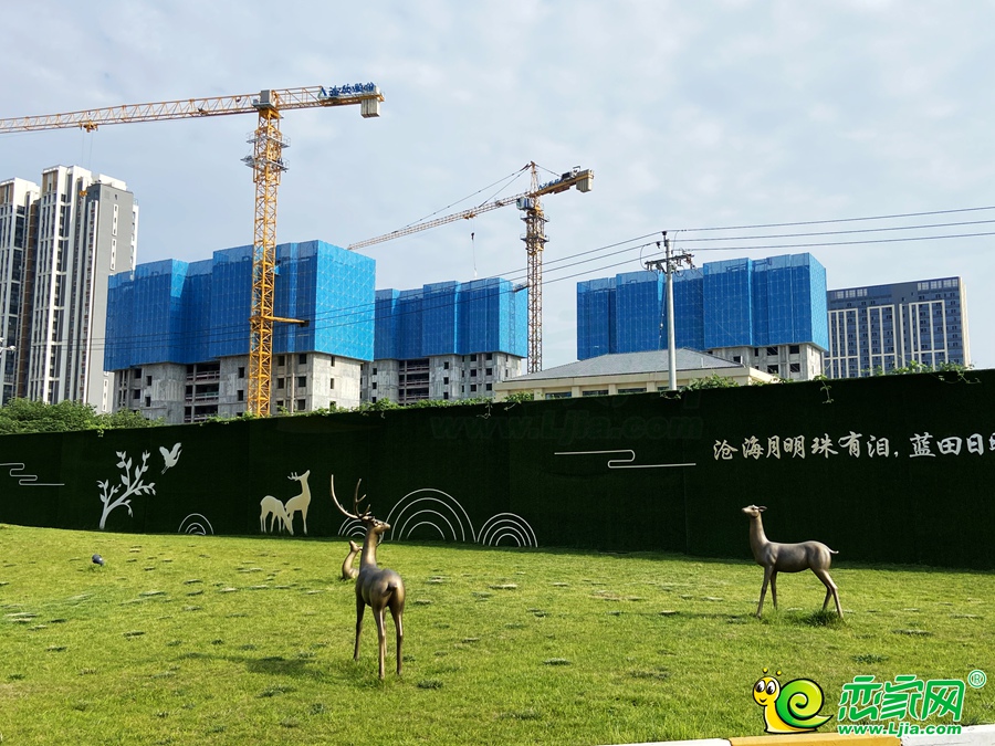 御河尚苑實(shí)景圖（2020.07.17）