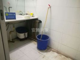 空中花園 滿五唯一 可貸 雙氣帶小煤房