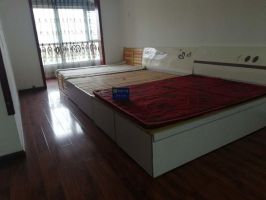 青年苑小區(qū) 老證 叢臺小學(xué)
