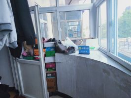 綠化路19號院69平2室 普裝 帶小煤房