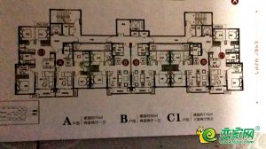 B戶型