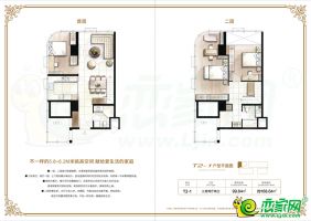 T2-1戶型
