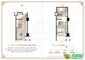 T2-15戶型