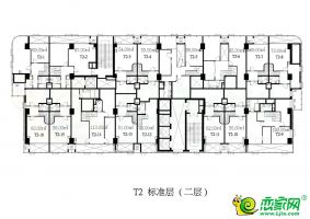 T2標準層（二層）
