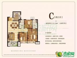 C戶型