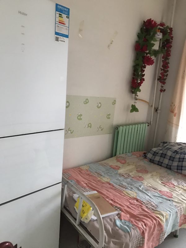 綠化路，三中，報社胡同