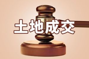 民生置業(yè)斬獲160畝地塊，民生第三子落定