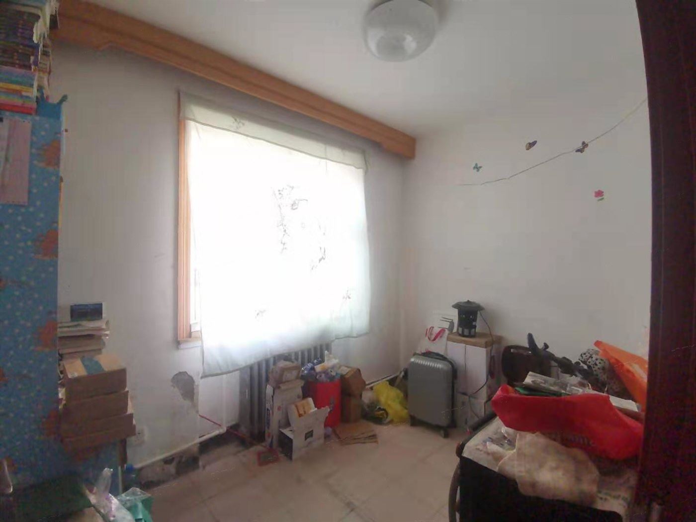 急售 房本面積62平 可貸款 展覽路小學(xué) 11中 3室?guī)?chǔ)藏