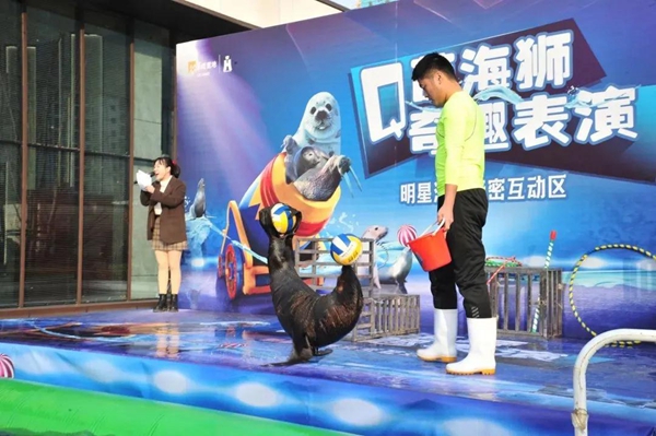  12.12-12.19與極地企鵝海獅小明星共享快樂(lè)時(shí)光