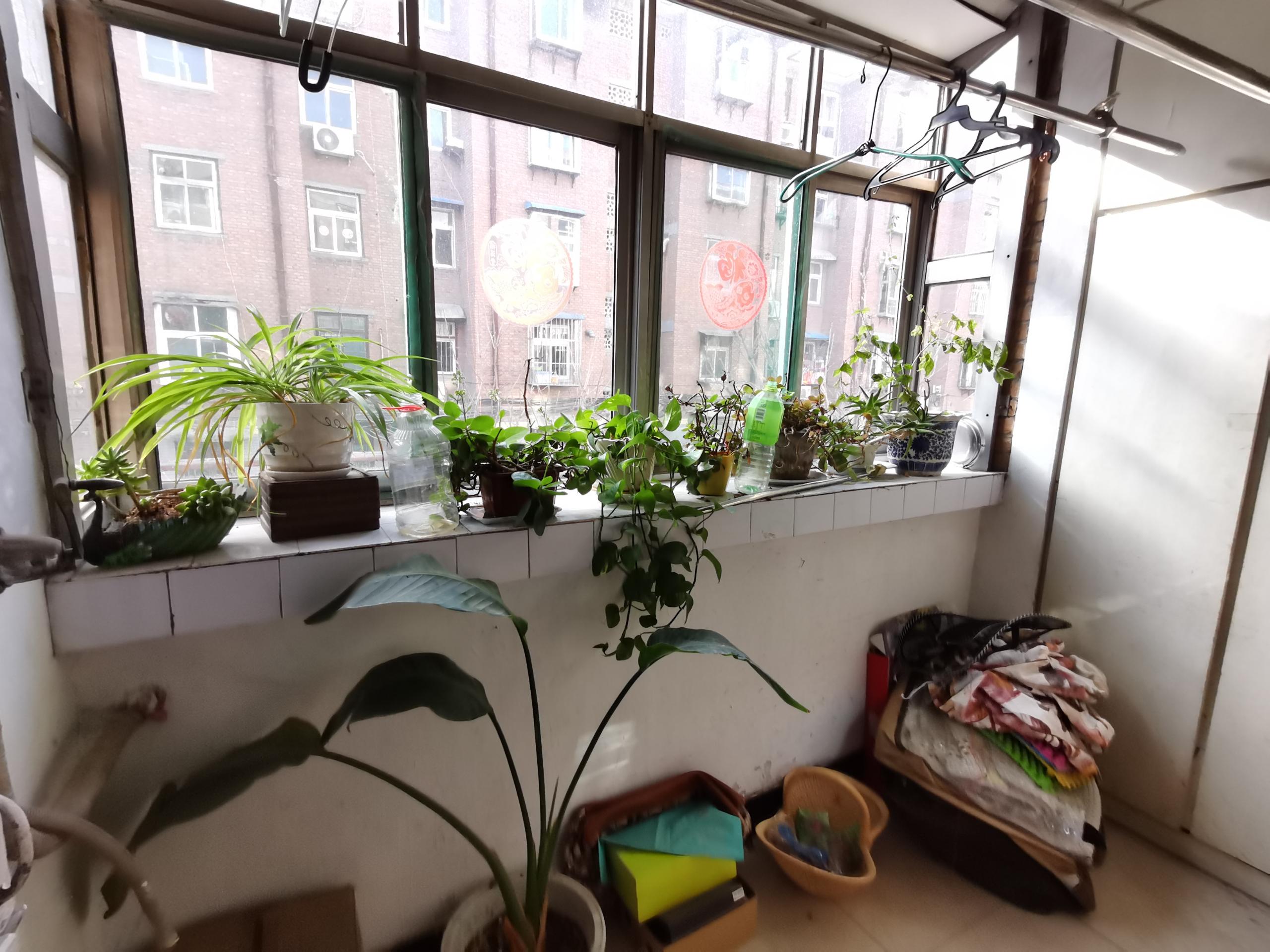 棉一生活區(qū) 138家屬院 滏河學(xué)校 2層 老證 南北通透