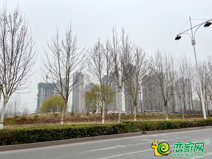 恒大綠洲實景圖（2021.3.13）