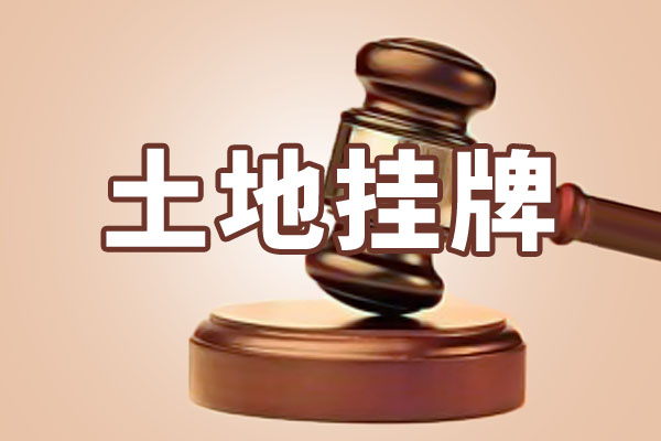 邯出告字[2021]-Q01號西召里村西出讓公告