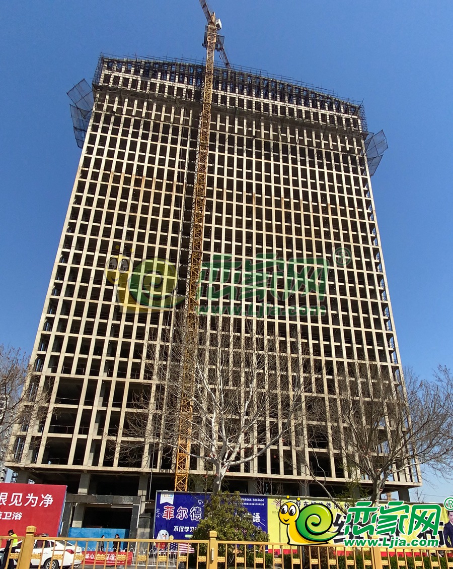 實(shí)景圖