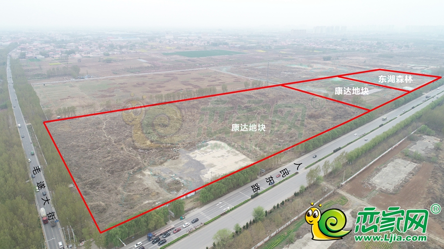 東湖森林實(shí)景圖（2021.4.6）