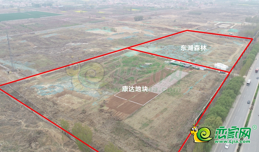 東湖森林實(shí)景圖（2021.4.6）