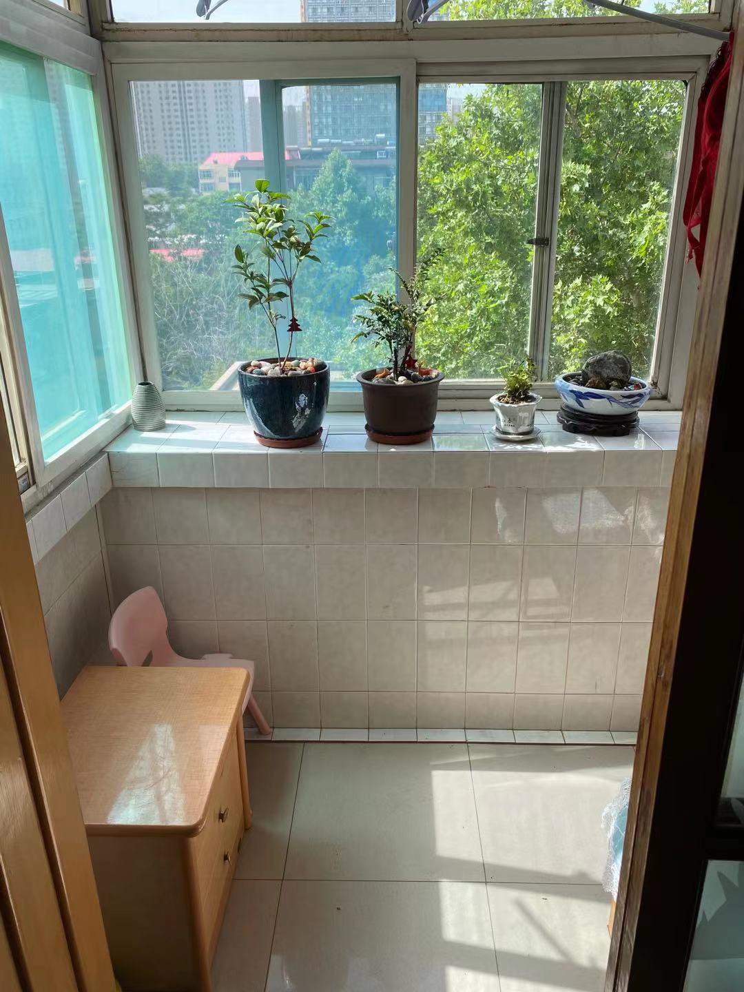邯山區(qū)實驗小學附近優(yōu)質(zhì)房源出售