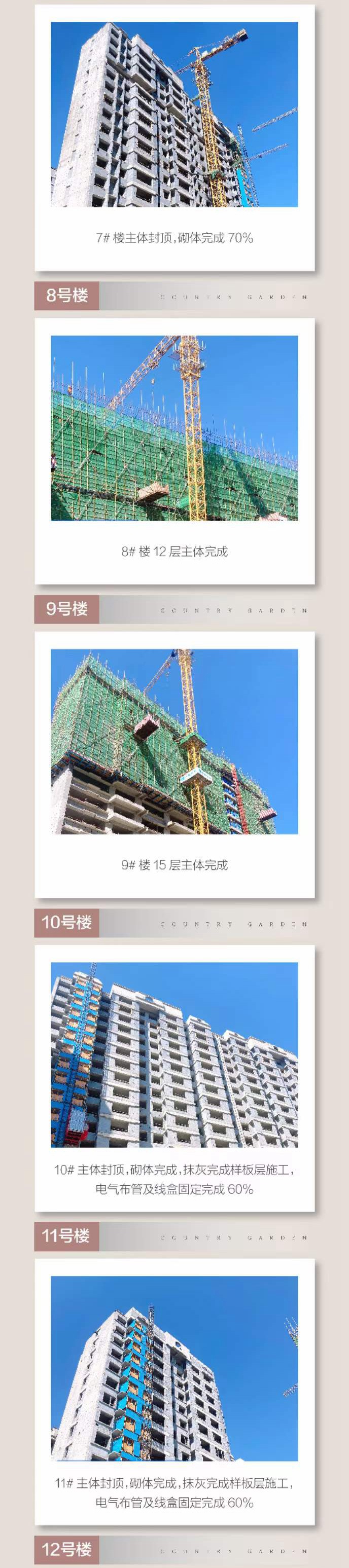 邯鄲碧桂園星鉆9月家書 | 初秋詩碩果 家音敘溫情