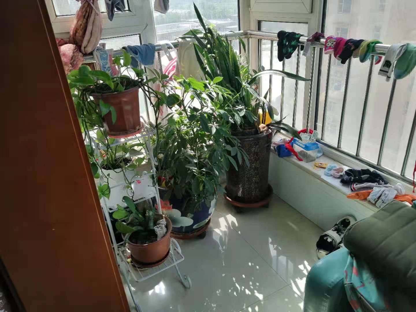 微信圖片_202106251122532.jpg