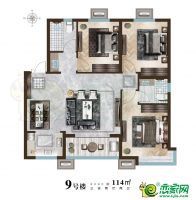 9#樓114㎡戶型