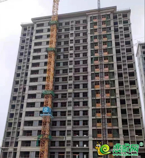 9月家書 | 美的·花溪谷 清秋初綻 預鑒美好